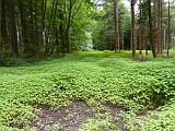 P1000788
